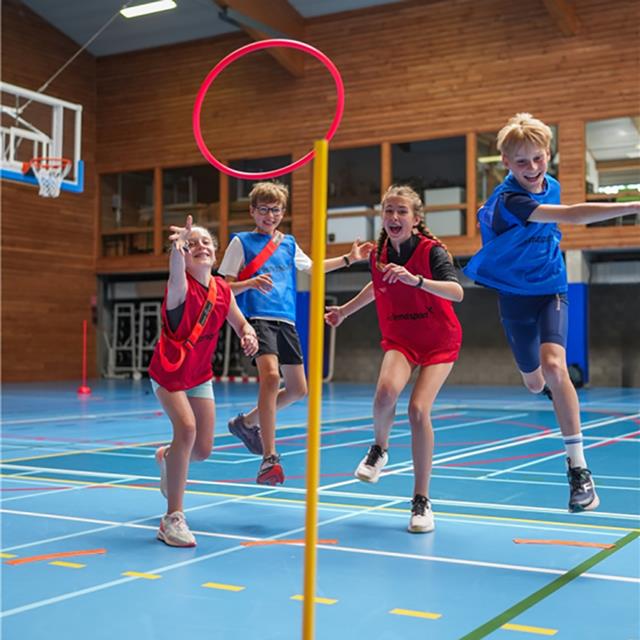 Photo Hoop picket